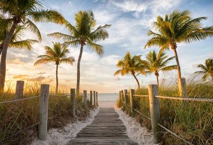 A walkway to a beach in Southwestern Florida